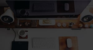 Printing the Chart of Accounts in Deltek Vision