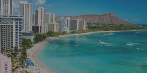 Live Honolulu Workshop: SF330 Automation and Deltek Vision Government Forms