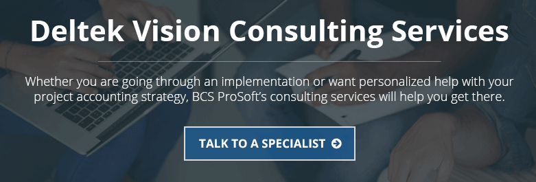 Deltek Vision Consulting Services